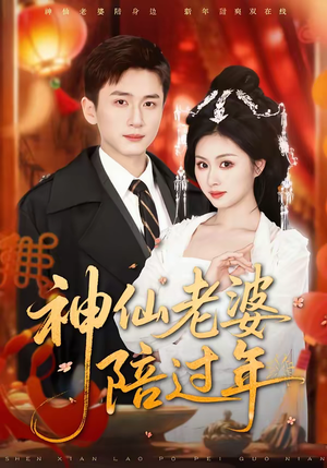 神仙老婆陪过年（66集）免费看