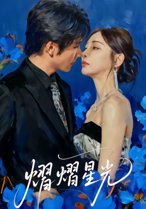 熠熠星光（67集）全集一网打尽