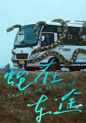 蛇在车途（34集）80到100集