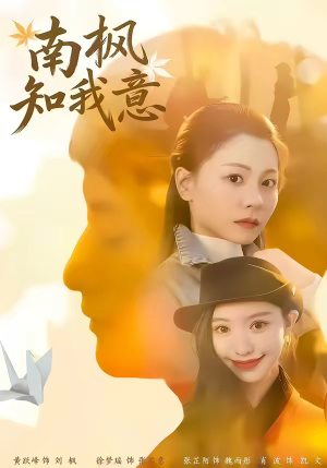 南枫知我意（41集）精彩短剧追不停