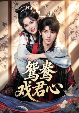 鸳鸯戏君心（60集）看过的人都说好