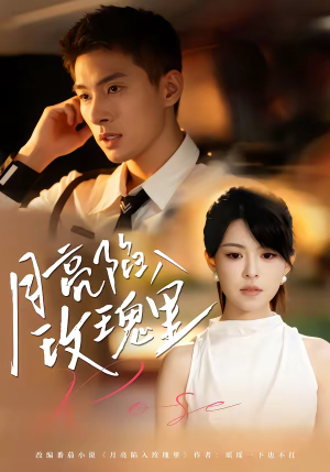 月亮陷入玫瑰里(60集) 月亮陷入玫瑰里(60集)免费观看就是爽