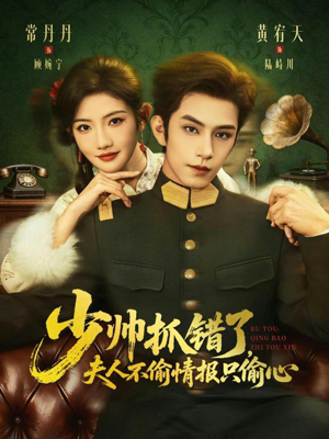 少帅抓错了，夫人不偷情报只偷心（66集）全集我都看完了