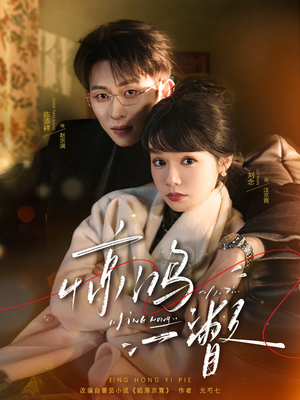 惊鸿一瞥（72集）好看吗