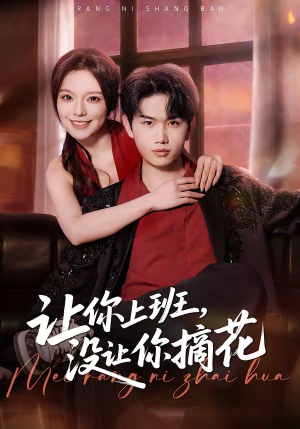 让你上班，没让你摘花（70集）百度网盘在线看