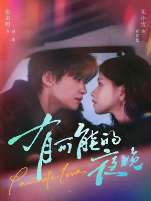 有可能的夜晚（81集）全剧免费观看