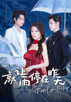 就让雨停在昨天（70集）口碑之选免费看