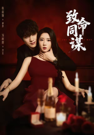 致命同谋（63集）在线看完整版