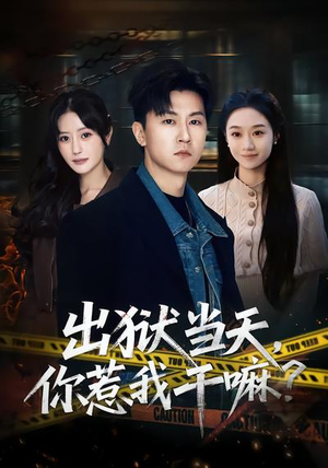 出狱当天你惹我干嘛（62集）口碑之选免费看