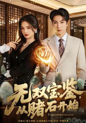 无双宝鉴，从赌石开始（70集）穿越短剧推荐