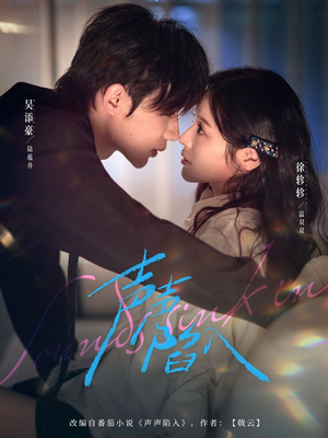 声声陷入（73集）女主角是谁