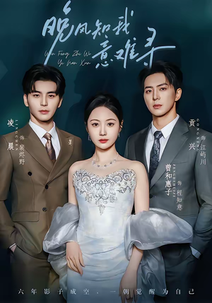 晚风知我意难寻（60集）高分佳作免费看