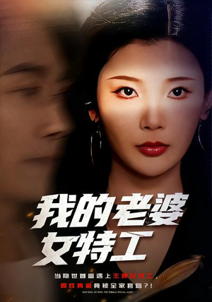 我的老婆女特工（62集）零花钱看整部剧