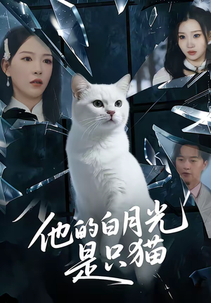 他的白月光是只猫（69集）免费短剧大全