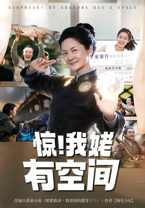 惊！我姥有空间（66集）解说文案