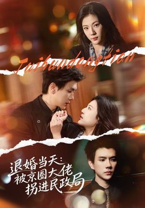 退婚当天：被京圈大佬拐进民政局（80集）海量资源免费看