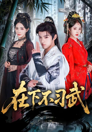 在下不习武（60集）最后一集