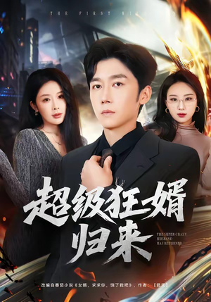 超级狂婿归来（81集）在线观看