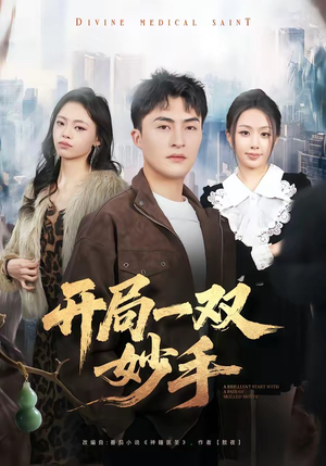 开局一双妙手(66集) 开局一双妙手(66集)80到100集