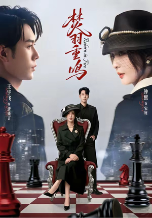 焚羽重鸣(60集) 焚羽重鸣(60集)深深爱上这部剧