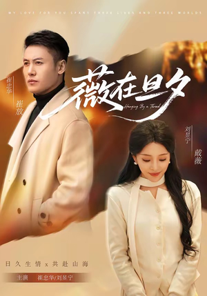 薇在旦夕（80集）高分佳作免费看