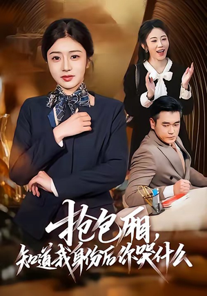 抢包厢，知道我身份后你哭什么（70集）全集都在这里了