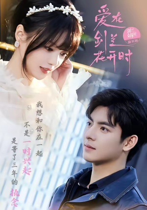 爱在剑兰花开时（56集）好看短剧又来了