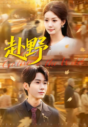 赴野（40集）全集下载