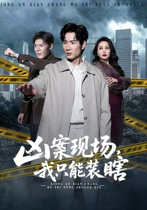 凶案现场，我只能装瞎（72集）精彩不断免费看