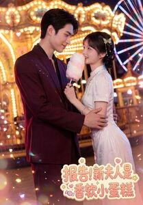 报告！新夫人是香软小蛋糕（90集）一共多少集