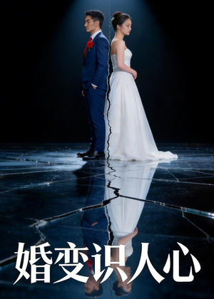 婚变识人心（54集）最新短剧推荐