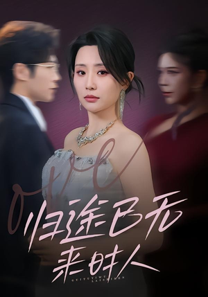 归途已无来时人（70集）好看吗