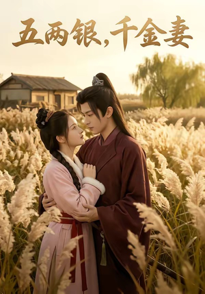 五两银，千金妻（60集）热门短剧大全