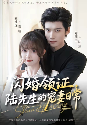闪婚领证，陆先生的宠妻日常（86集）夸克在线观看