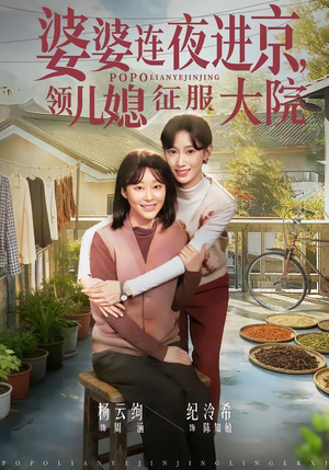 婆婆连夜进京，领儿媳征服大院（78集）精彩短剧推荐