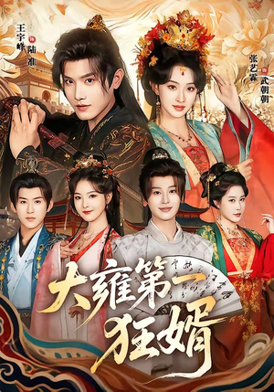 大雍第一狂婿（90集）大结局
