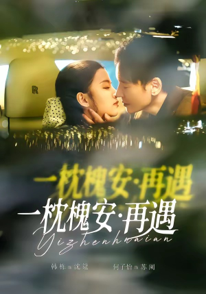 一枕槐安：再遇（70集）常回家看看短剧