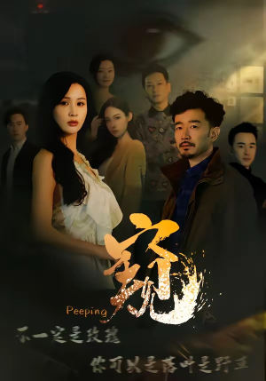 窥伺（37集）分享好看的短剧