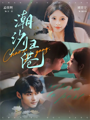 潮汐归港（66集）免费在线看