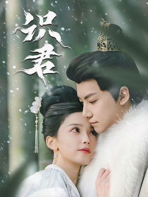 识君（59集）精彩的网络短剧