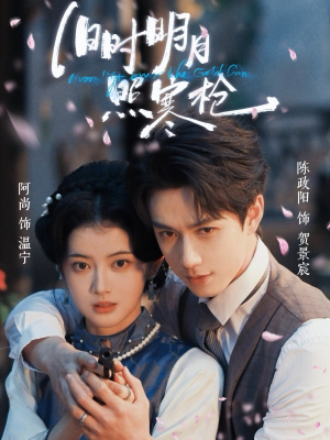 旧时明月照寒枪（62集）热门短剧推荐