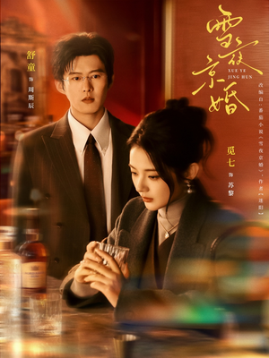 雪夜京婚（84集）海量资源免费看