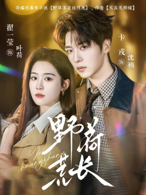 野荷荒长（86集）爆款短剧一起追