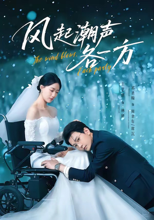 风起潮声各一方（84集）每天分享短剧