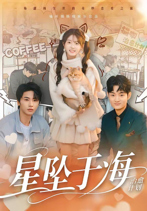 星坠于海（50集）热门短剧大全