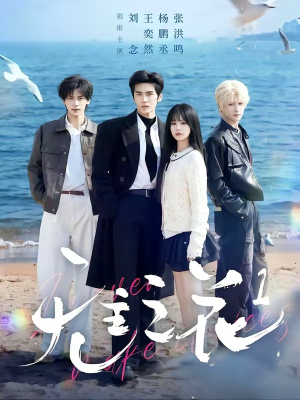无主之花1（72集）精彩短剧片段