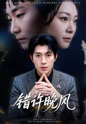 错许晚风（60集）短剧精彩不断