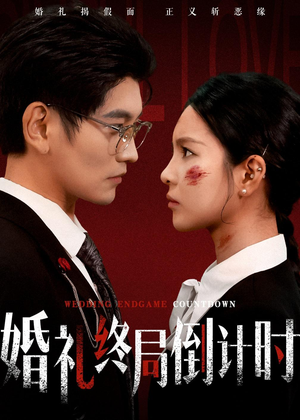 婚礼终局倒计时(60集) 婚礼终局倒计时(60集)80到100集