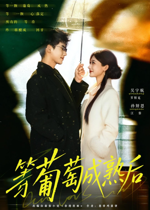 等葡萄成熟后（82集）短剧精彩不断