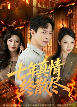 七年真情终散尽(60集) 七年真情终散尽(60集)短剧全集完整版